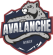 Avalanche Next