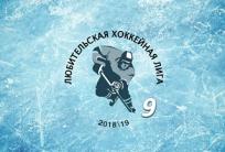 Старт и итоги первого круга чемпионата ЛХЛ в дивизионе «Новичок».