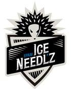 Epam Ice Needl'z-2 дозаявил троих  игроков