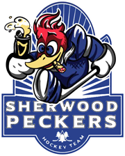 «Бурые медведи» и «Будаўнiк» сыграли против московской команды «SHERWOODPECKERS»
