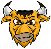 Капитан команды Кракен пополнил состав команды Бизоны