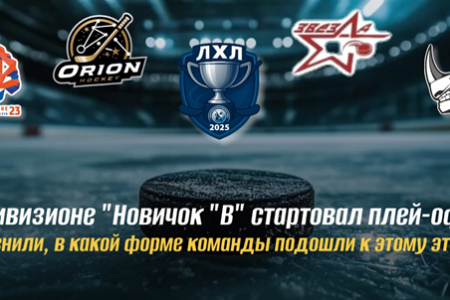 В дивизионе «Новичок» группа «В» стартует стадия «плей-офф»:  посмотрели, какие команды вышли на финишную прямую чемпионата